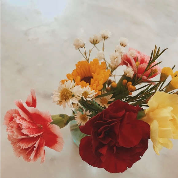 Meet your Posher, Spencer - Picture 5 of 6